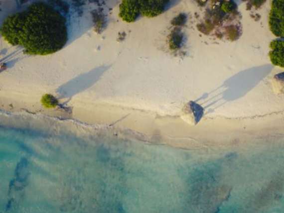 Aerial view of a Caribbean beach