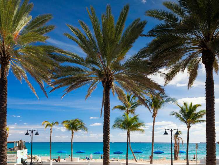 A sunny beach with palm trees in Fort Lauderdale, Florida.