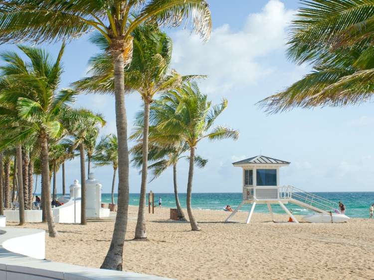 Fort Lauderdale Beach with palm trees and a lifeguard stand.