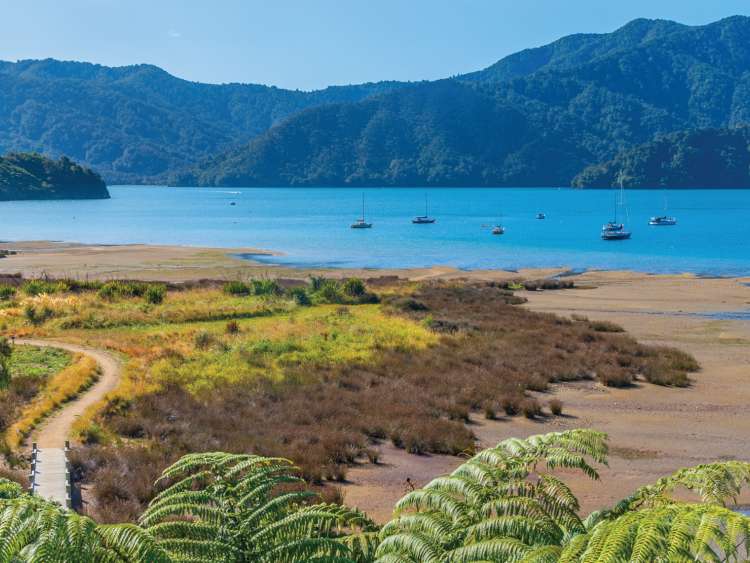 A view of Queen Charlotte Sound in New Zealand.