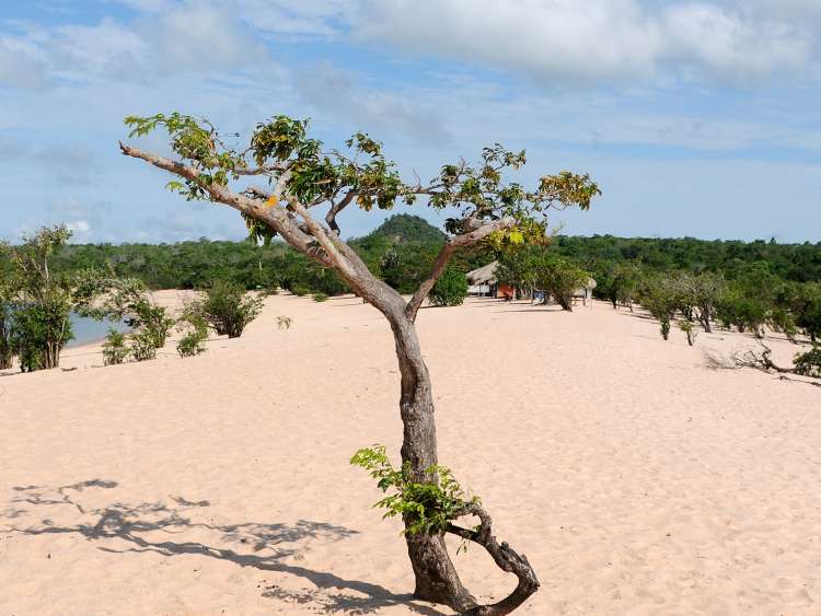 A beach view of Port Alterdo Chao in Brazil.