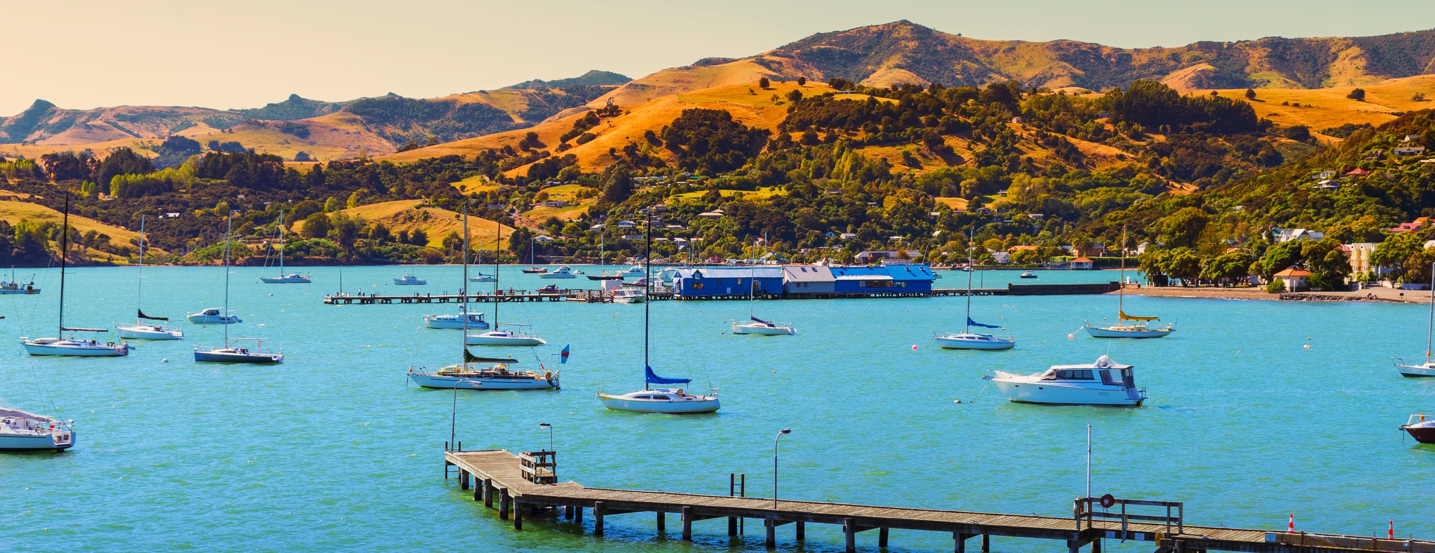 Shore Excursions and Tours for Akaroa (Christchurch), New Zealand Holland America Line Cruises