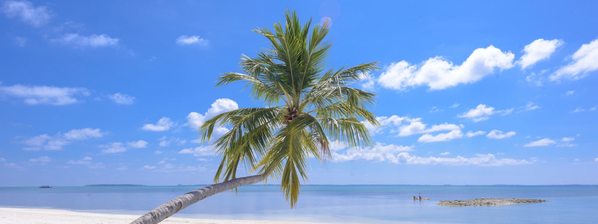 Cruises to Grand Cayman, Cayman Islands 20252026 Cruises