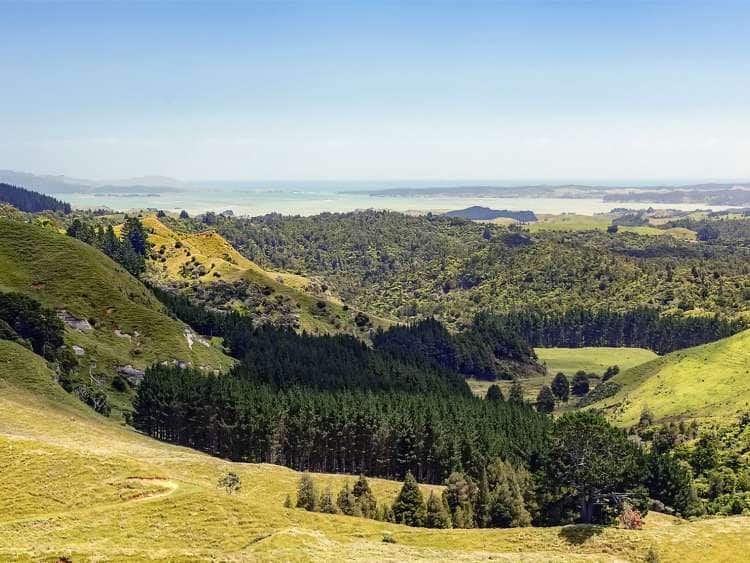 A view of the landscape of Port Gisborne in New Zealand