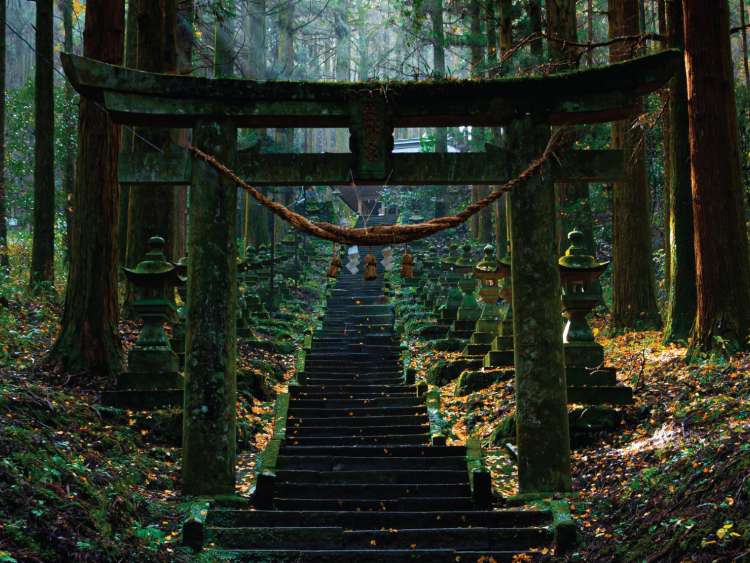 A temple archway in a forest in Port Nagasaki Japan