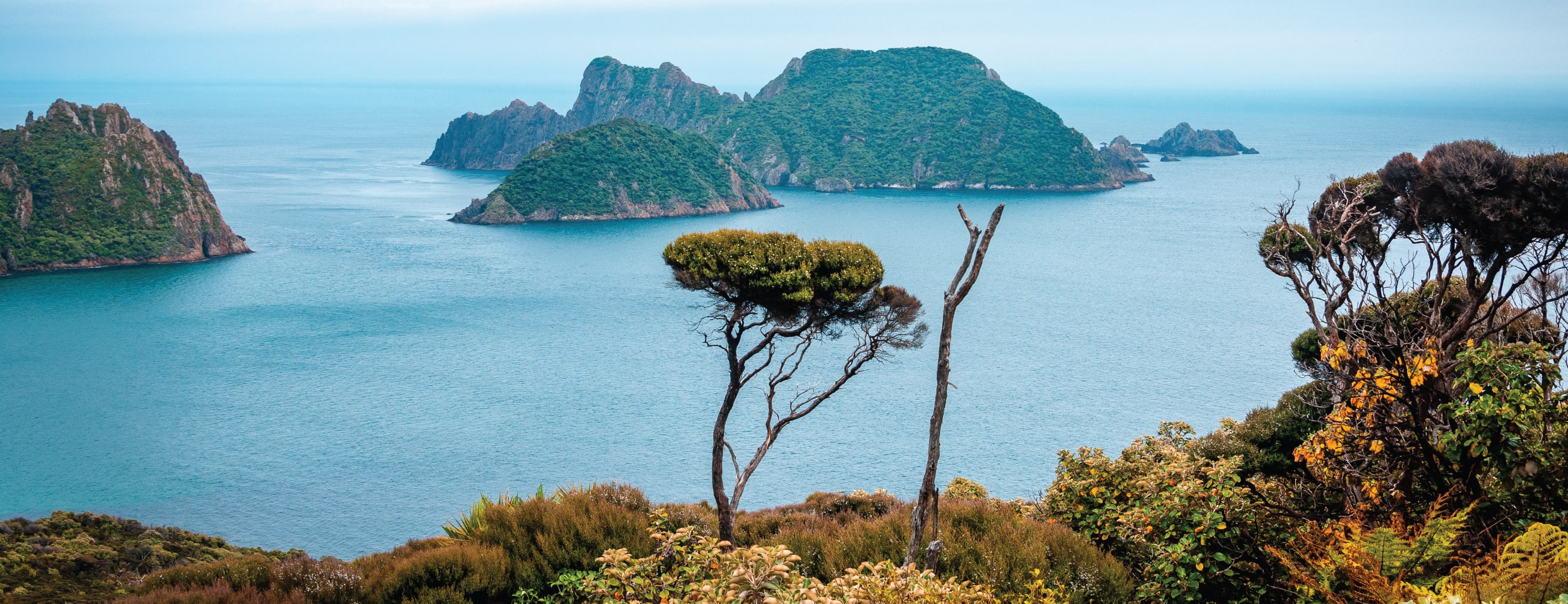 Cruises to Oban, Stewart Island, Neuseeland Holland America Line Cruises