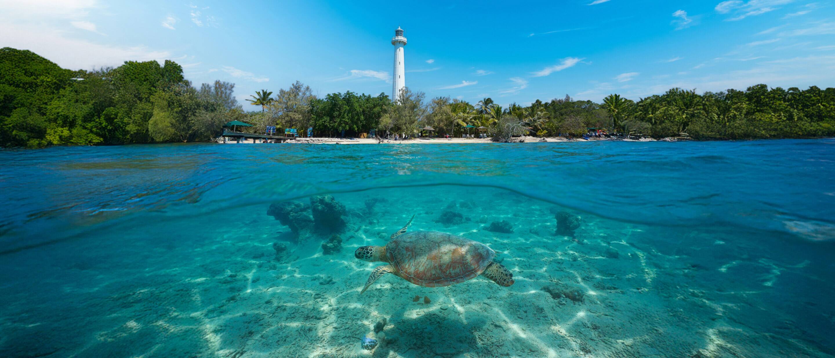 Sea turtle swimming in clear turquoise water near tropical island with white sandy beach, lush greenery, and tall lighthouse under blue sky.