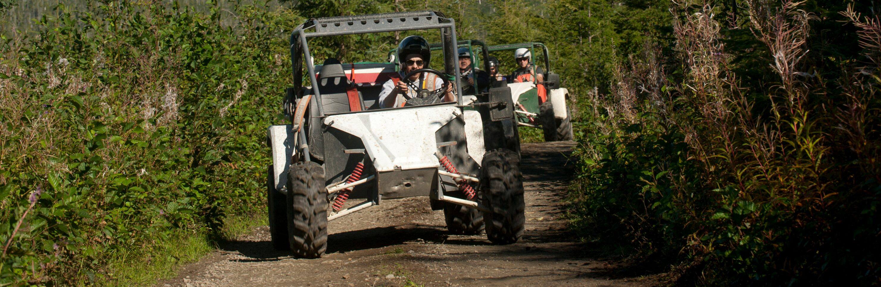 The Great Alaskan Lumberjack Show