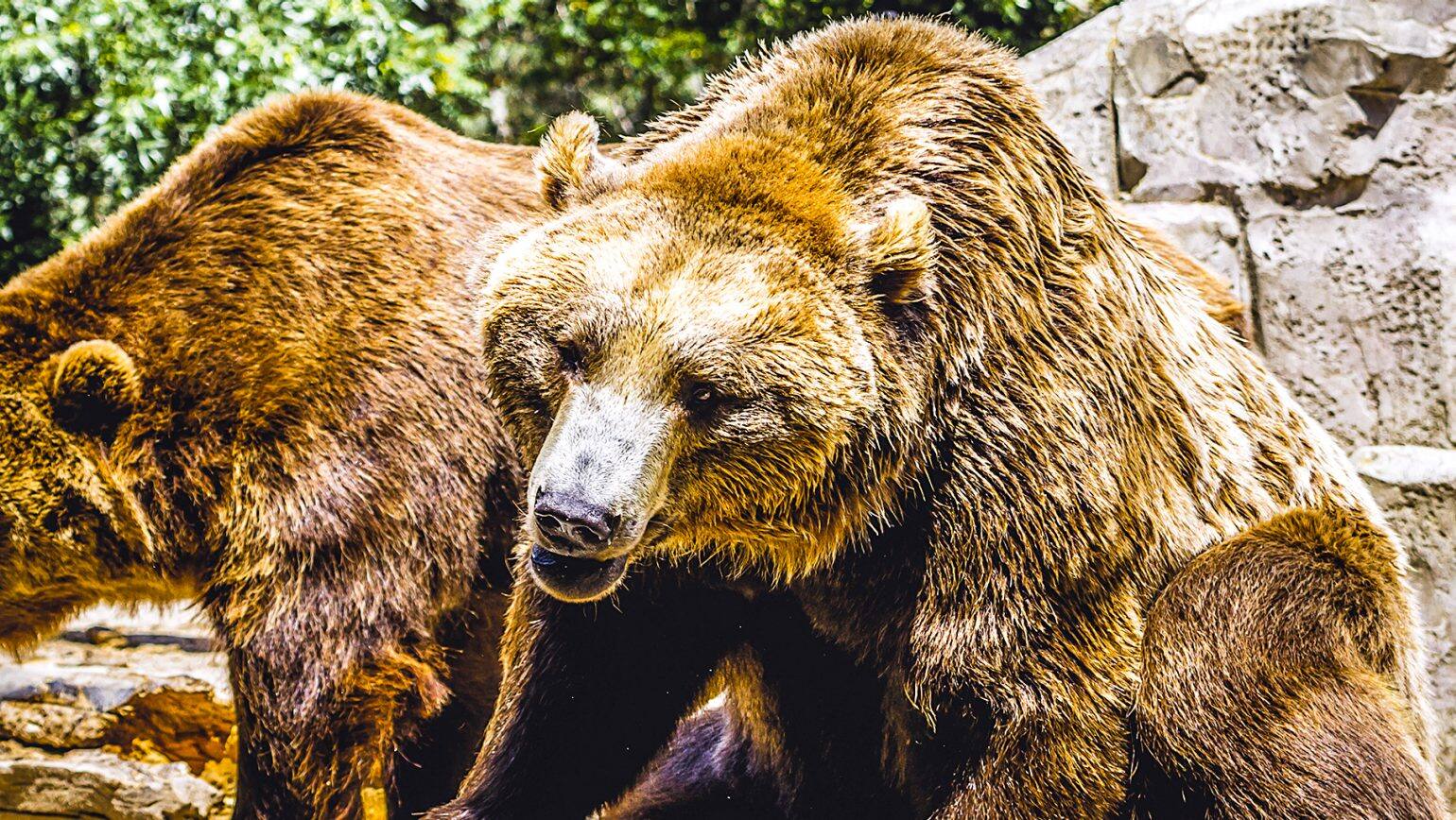 Anchorage, Alaska, US