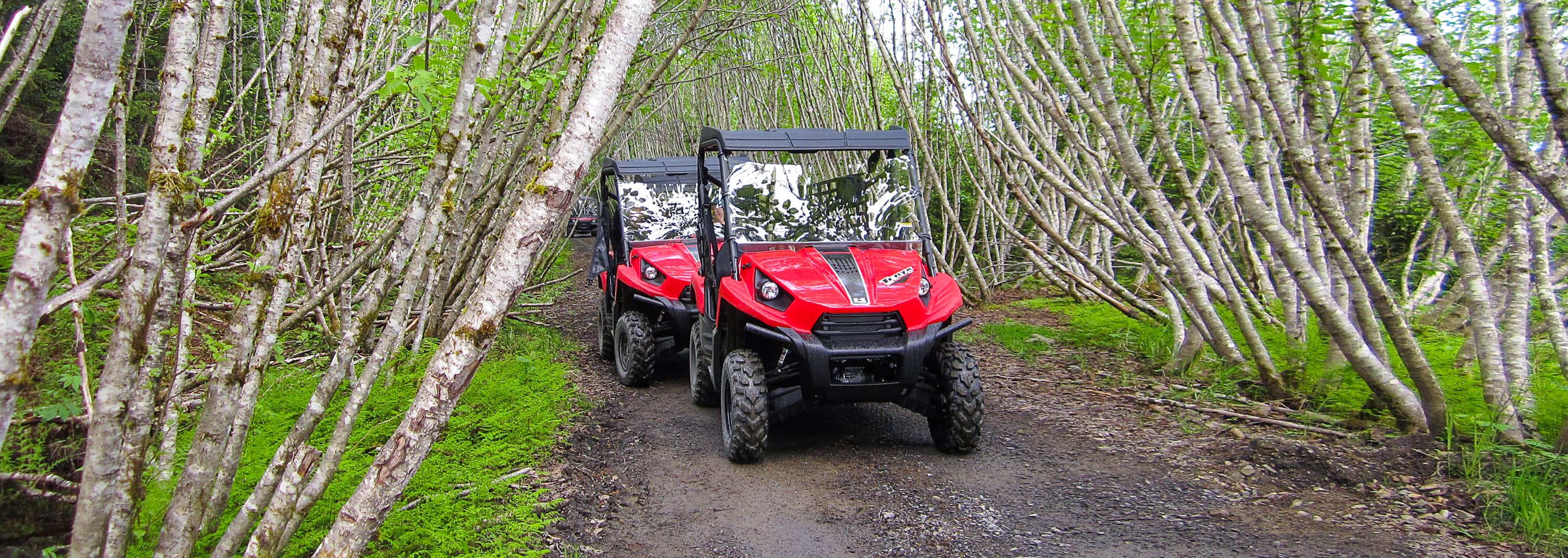 Two all-terrain vehicles on an Icy Point shore excursion