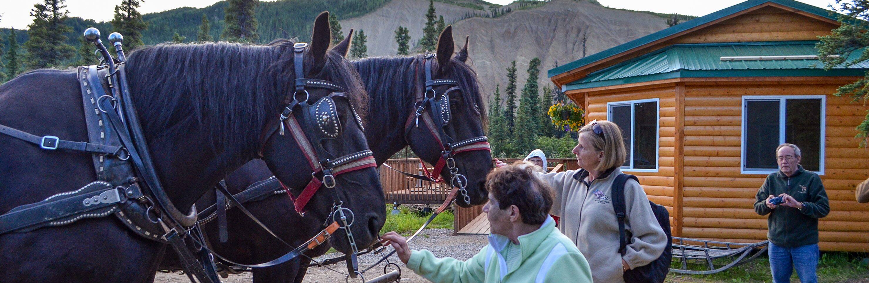 Black Diamond Covered Wagon Adventure with Backcountry Dining