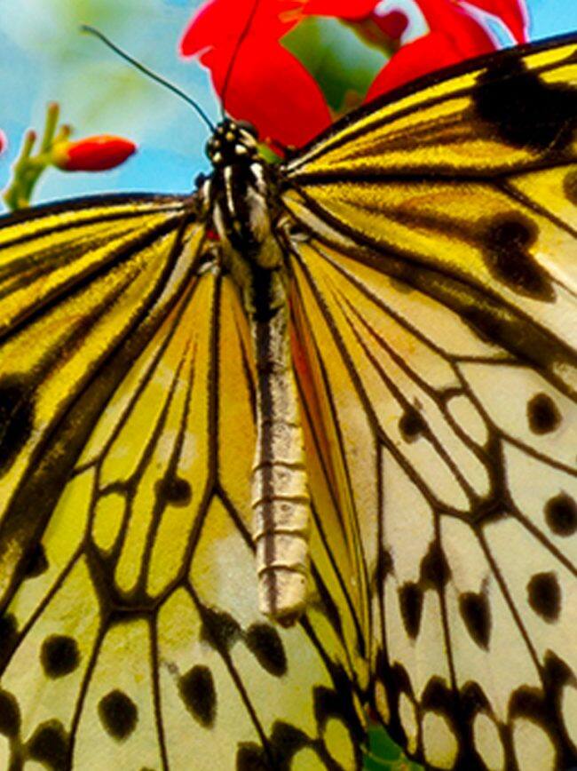 Key West, Florida, US