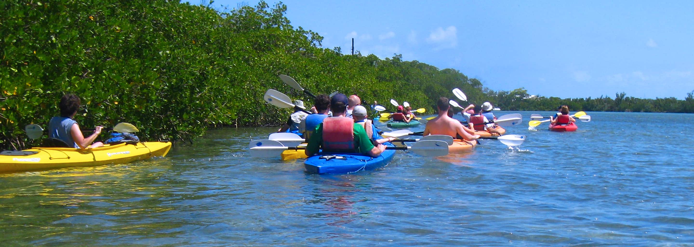 Key West Nature Kayak