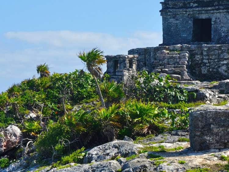 Best of Cozumel: Tulum Mayan Ruins, Beach Club & Lunch