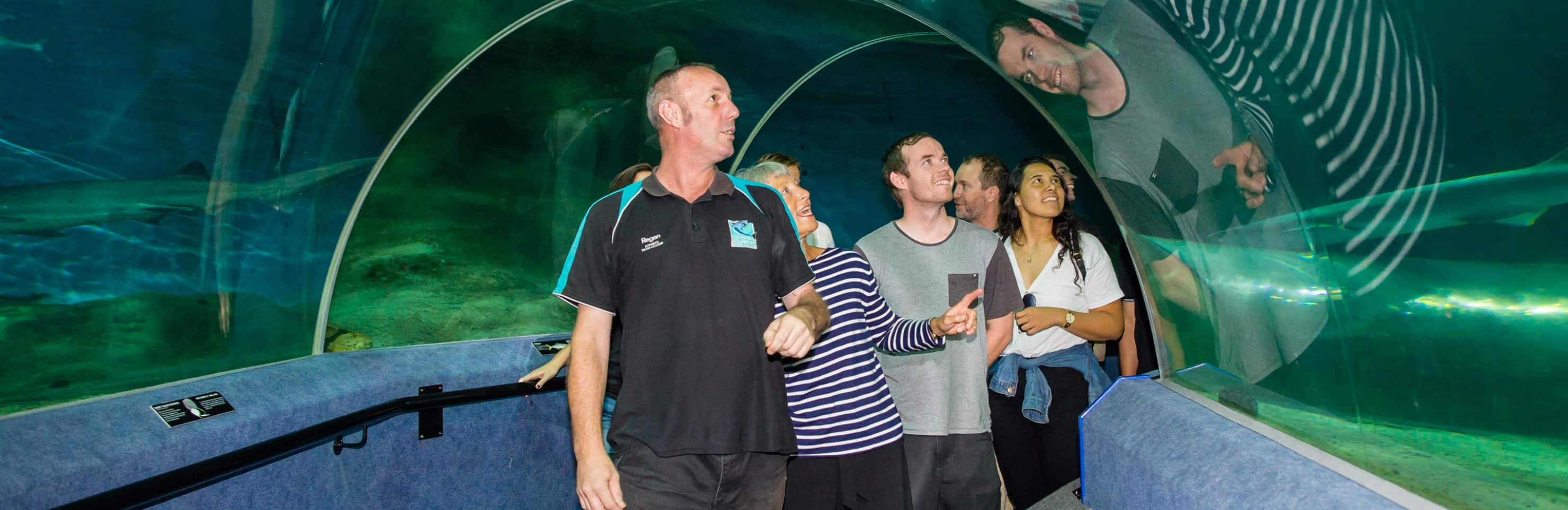 Napier City Drive & Aquarium