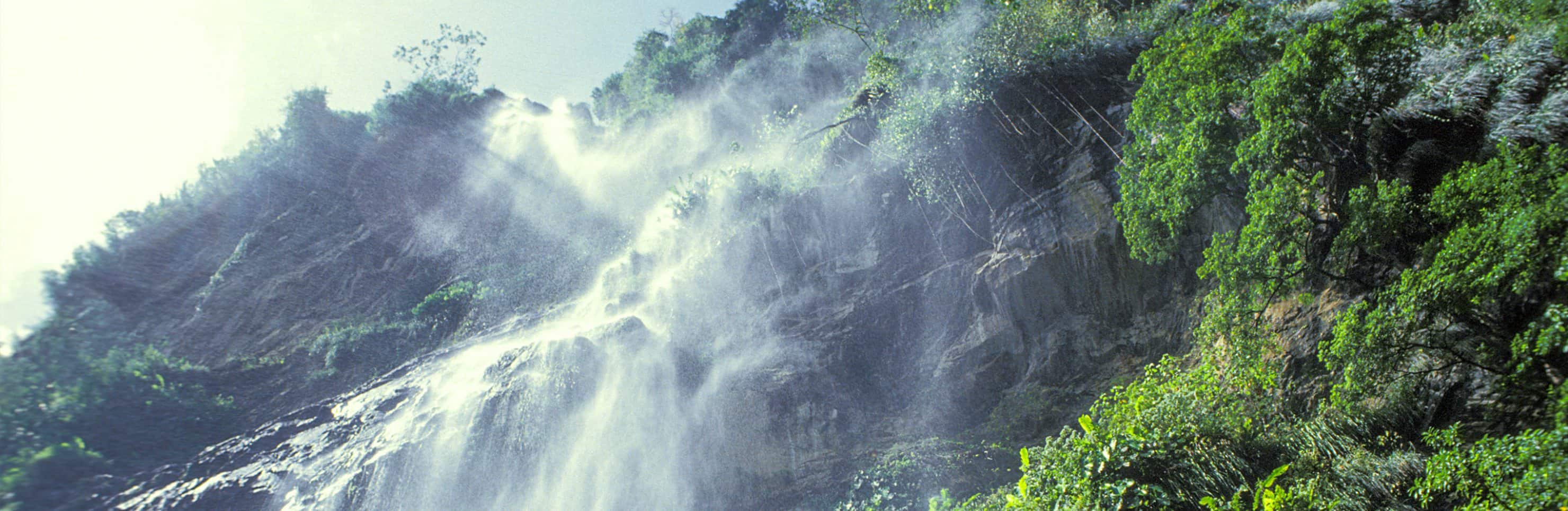 Maracas Waterfall Hike