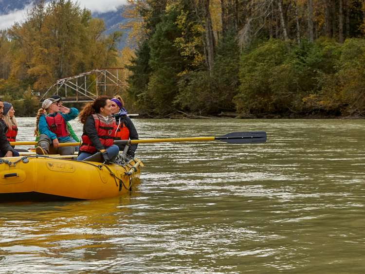 Shore Excursions And Engaging Travel Experiences With