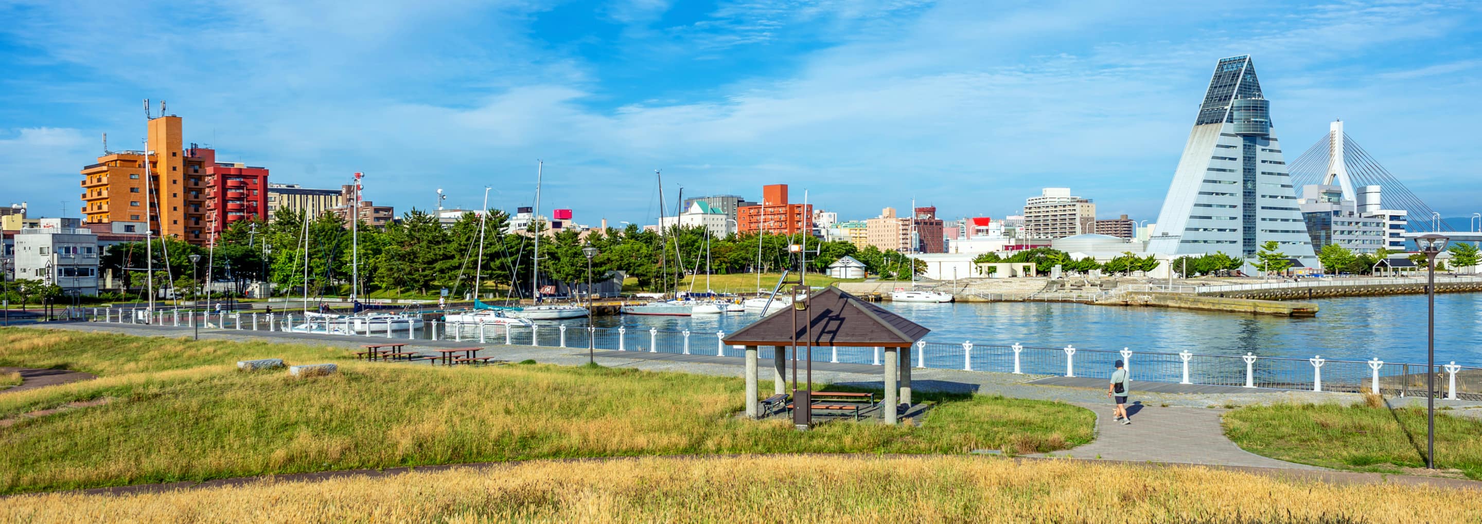 Scenic waterfront view of Aomori, Japan featuring the iconic triangular Aomori Prefecture Tourist Center building. opens a dialog