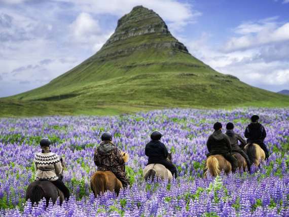 People riding horseback in an Iceland National Park.