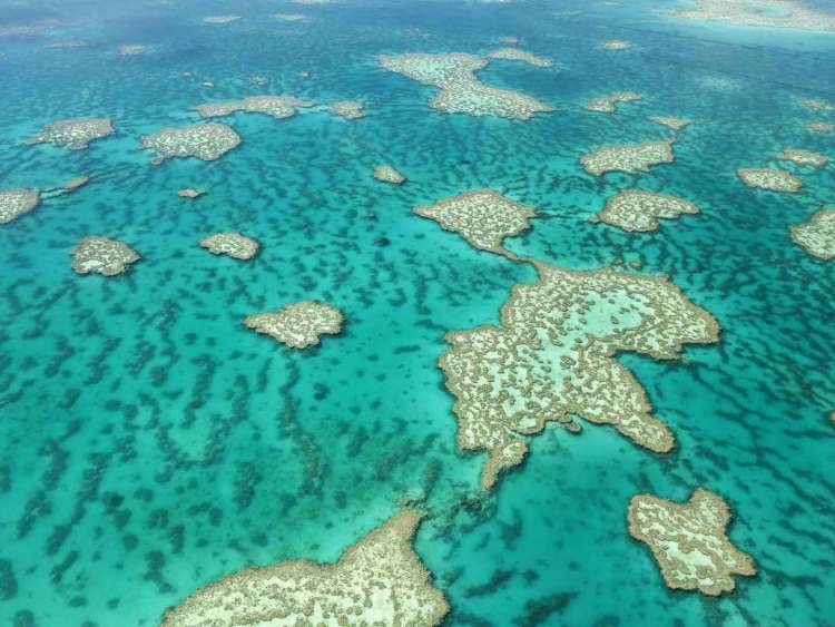 great barrier reef in australia