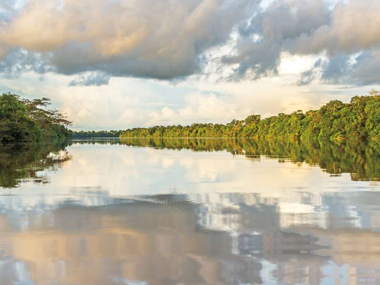 View of the Amazon River seen on a Grand Voyage cruise