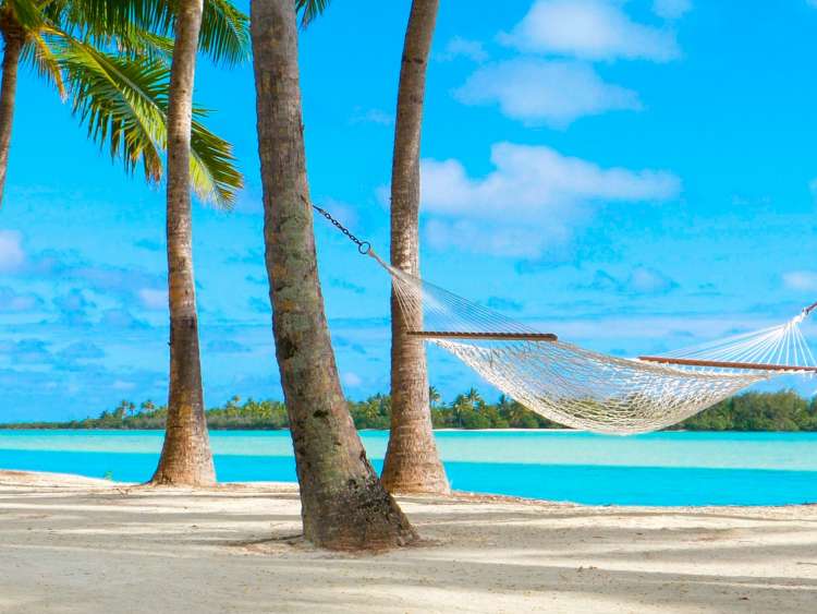 hammock hangs from palm trees on beach