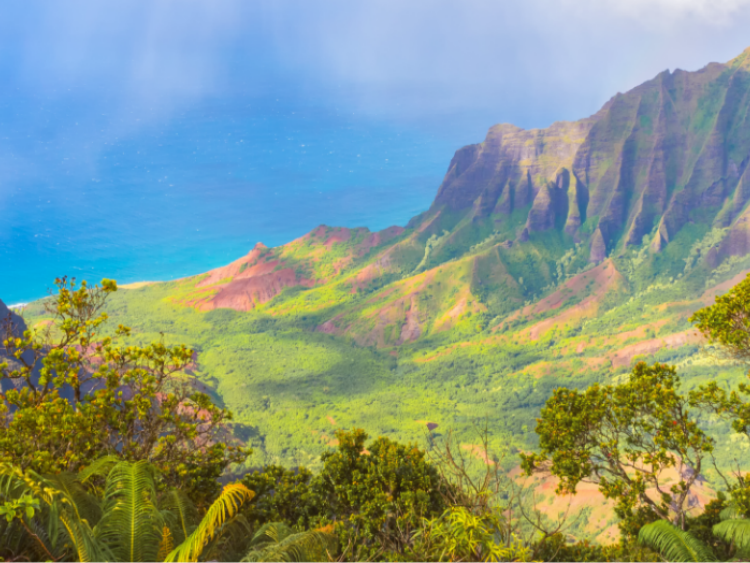 View of the Hawaii's coast looking down from lush mountain