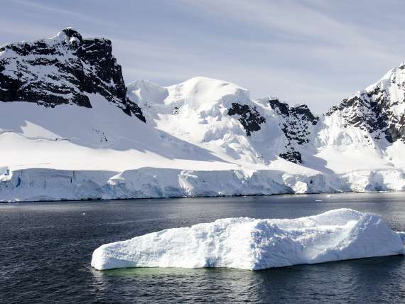 icebergs float in antarctica