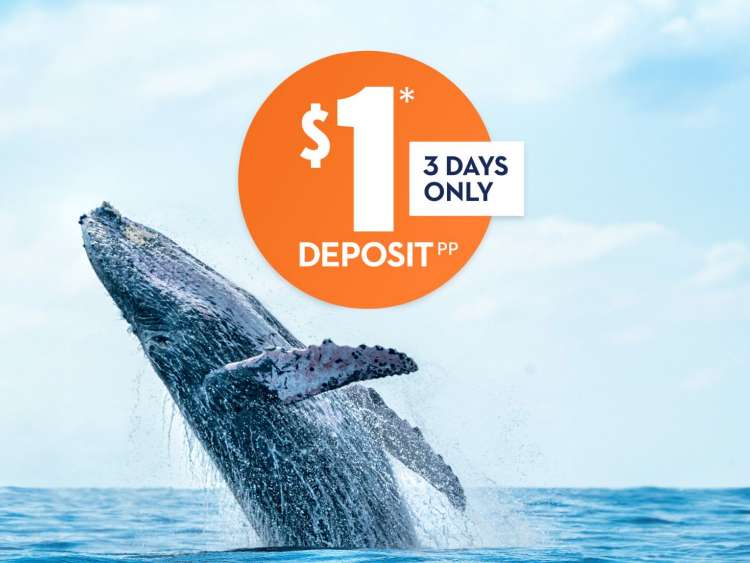 $1* Deposit PP 3 Days Only