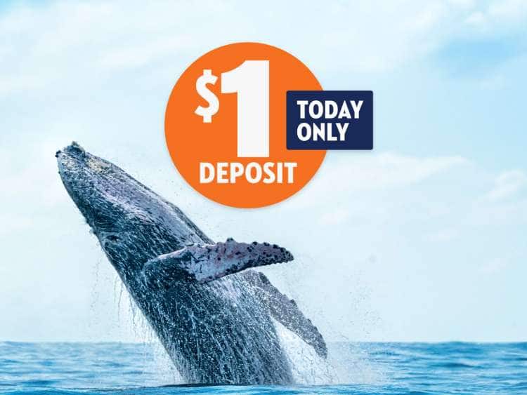 $1 Deposit Today Only