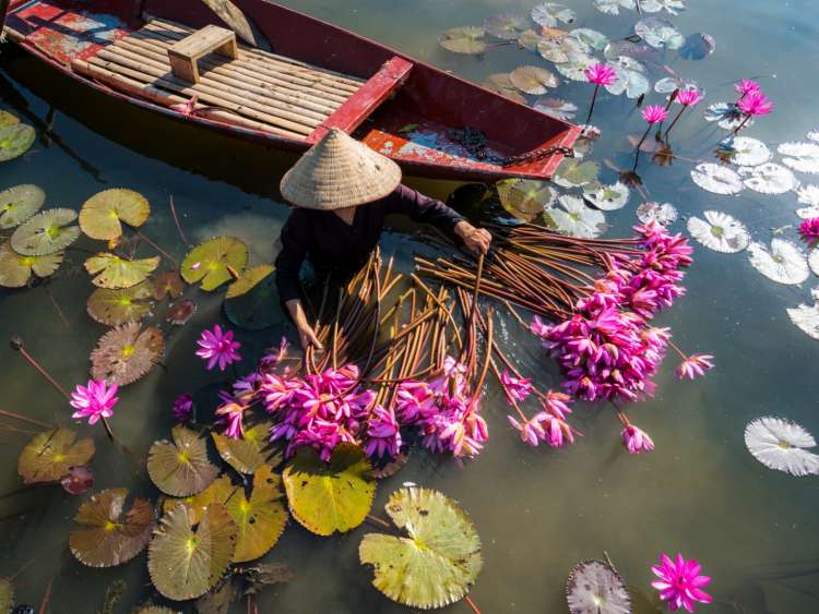 Woman with a boat and flowers in the water
