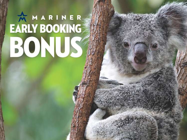Mariner Early Booking Bonus Koala Bear