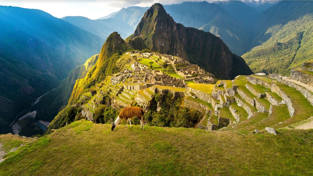 Machu Picchu ruins with llama in foreground