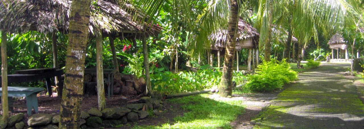 Samoa Rural A Taste of Samoan Village Life Cruise Tour