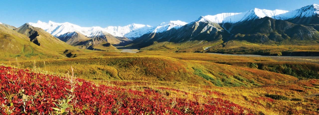 snow capped mountains behind a tundra plateau in Alaska's National Parks