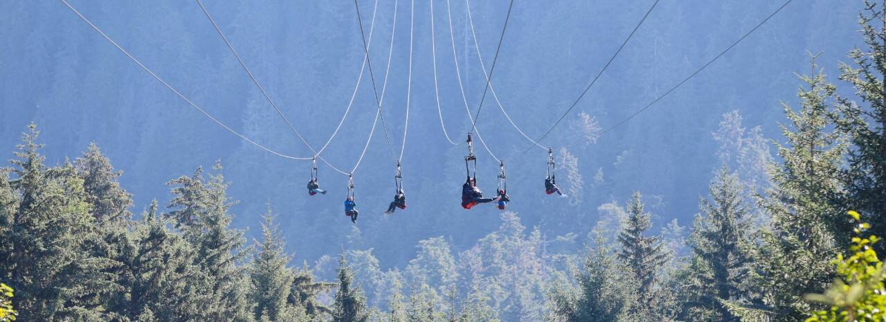 The ZipRider Adventure & Sky Peak Gondola Cruise Tour