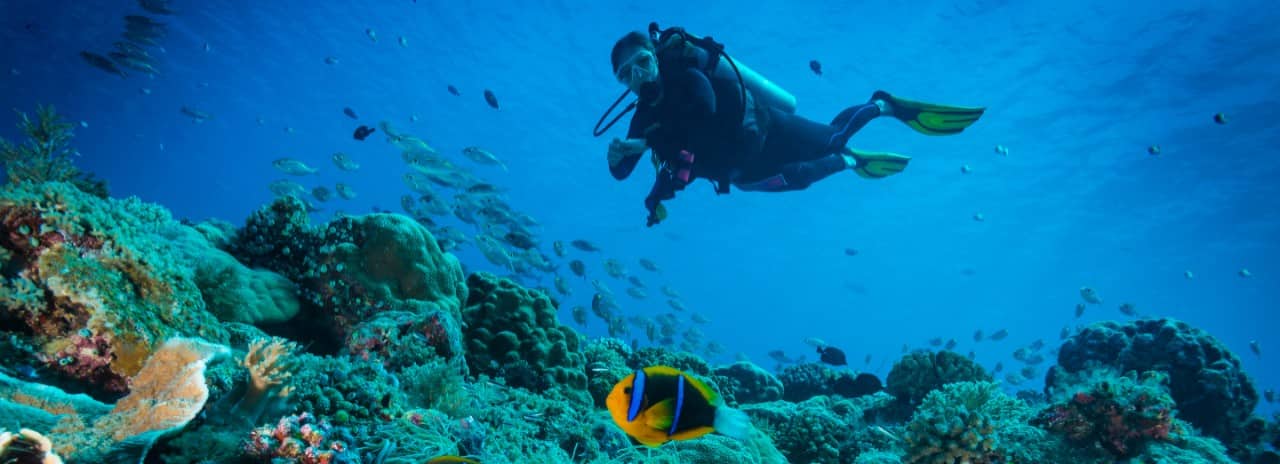 A person scuba diving with colorful fish all around.