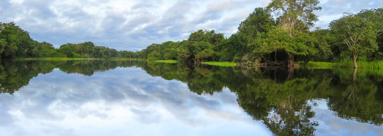 Exploring the Amazon by Private Speedboat Cruise Tour