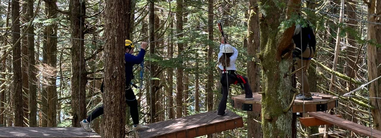 Excursion With Ropes Treetop Aerial Ropes Adventure Cruise Tour