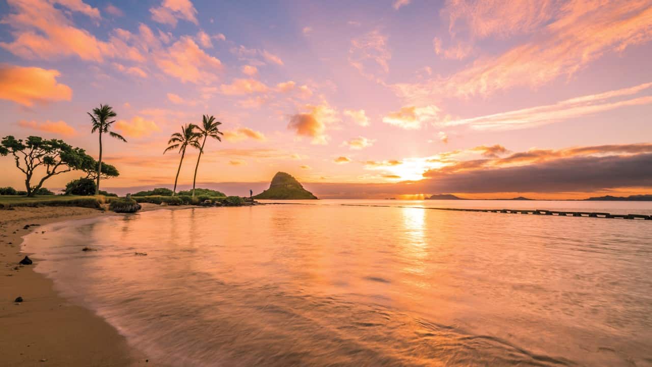 Kualoa Regional Park beach at sunset, Oahu Hawaii, with palm trees, calm ocean, and Mokoliʻi island.