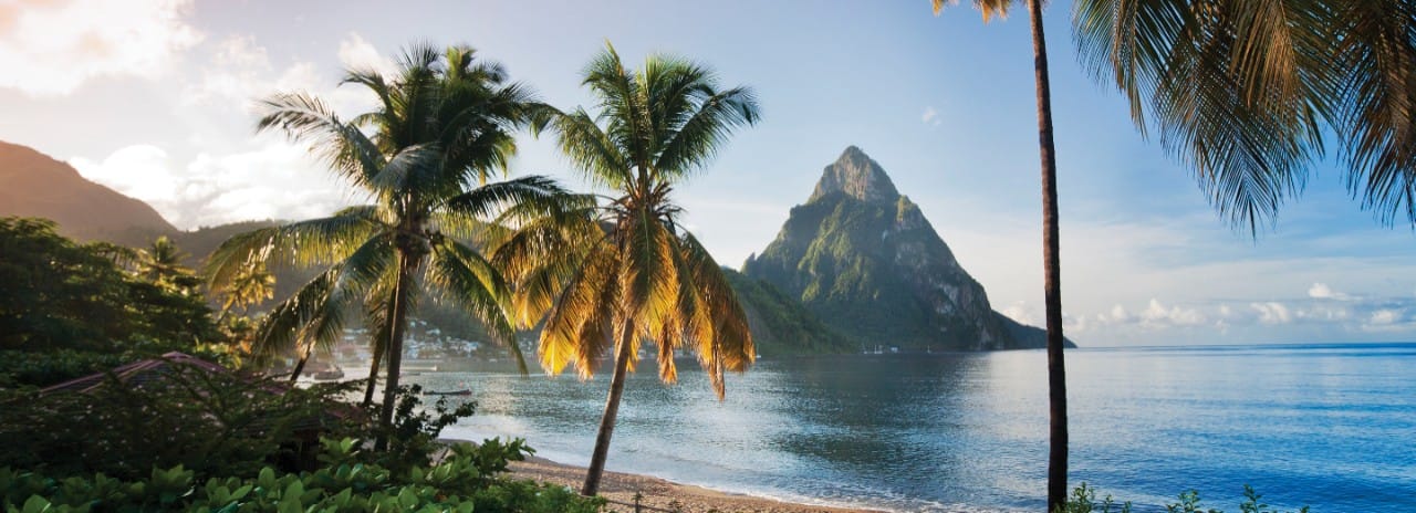 Palm trees on a beach in St. Lucia.