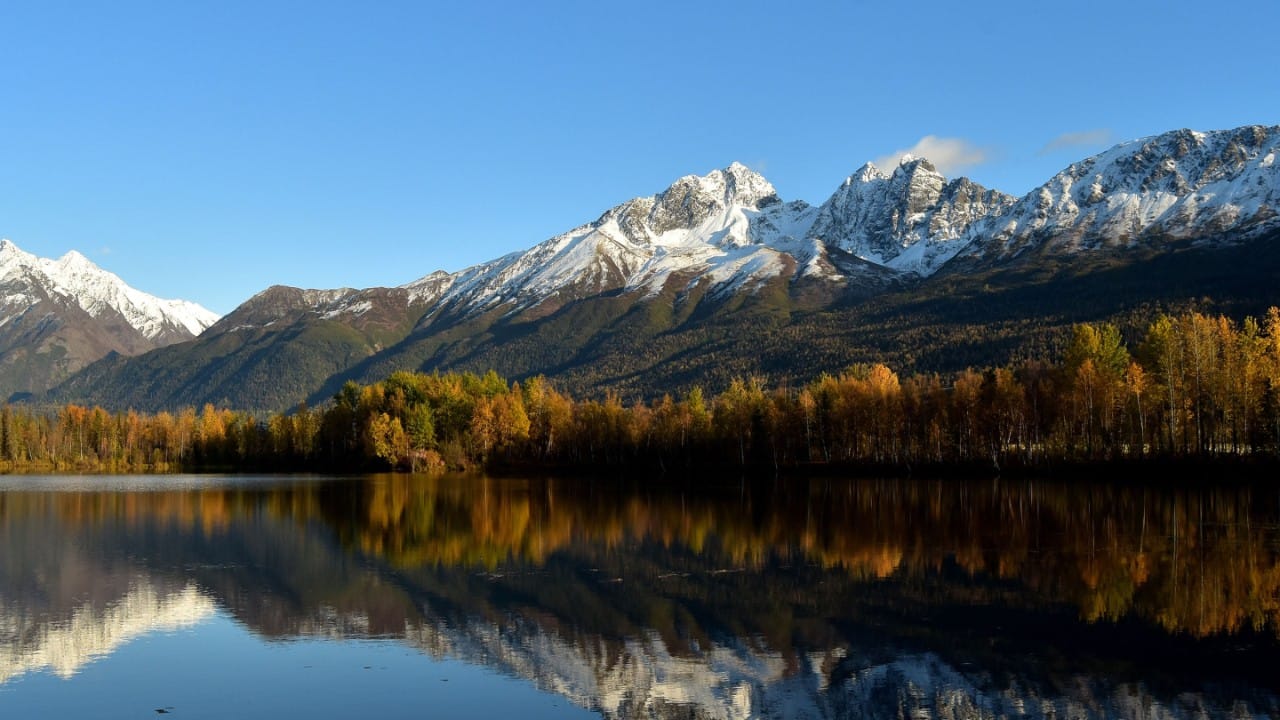 View of a lake surrounded by forest and mountains in Denali National Park, Alaska