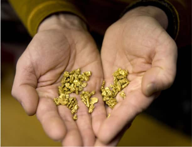 photo of a man holding gold nuggets in his hands after gold panning