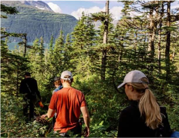 View of hikers walking along a forested trail on a shore excursion in The Yukon, Canada