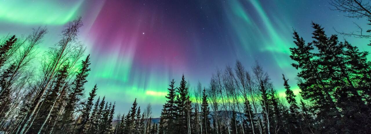 Northern Lights, or Aurora Borealis, near Fairbanks, Alaska