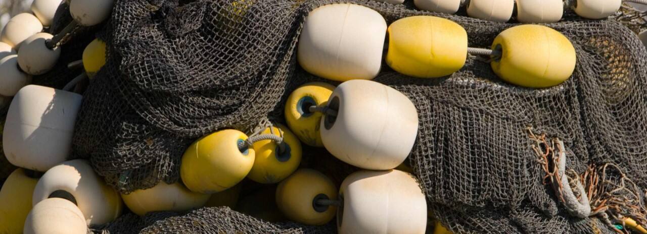Holland America Line' Nieuw Amsterdam cruise ship sailing up the Inside Passage heading for Haines, Alaska