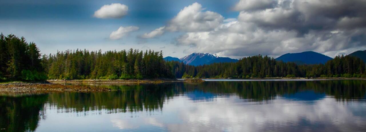 Holland America Line' Nieuw Amsterdam cruise ship sailing up the Inside Passage heading for Haines, Alaska