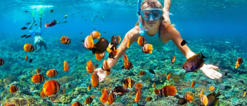 Bahamas Cruises - Best Cruises to Bahamas 2025 and 2026