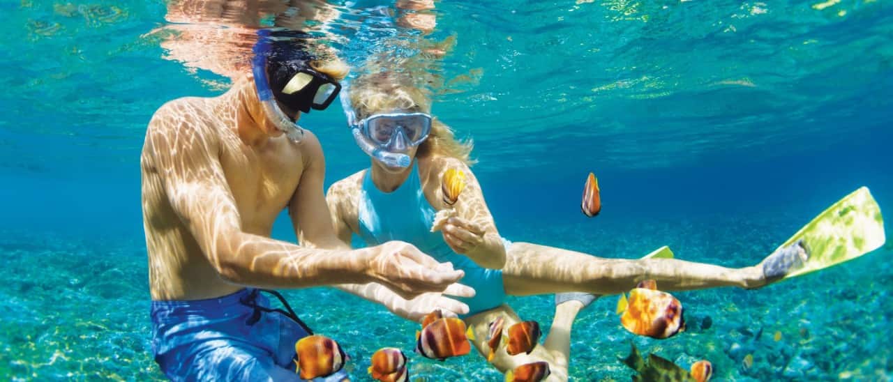 Two people snorkeling underwater feed small tropical fish in clear blue ocean water.