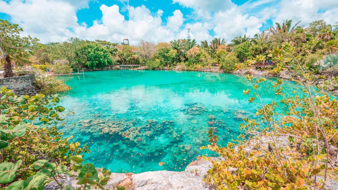 Crystal-clear turquoise cenote surrounded by lush tropical vegetation under a bright blue sky with scattered white clouds in Cozumel, Mexico.